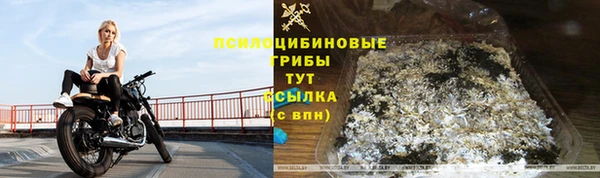 молекула духа Верхний Тагил