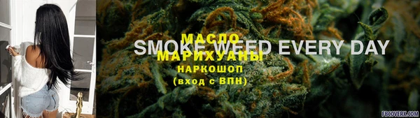 молекула духа Верхний Тагил