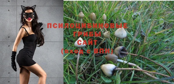 2c-b Бронницы