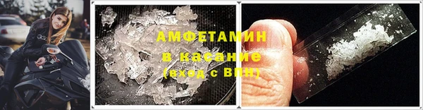 крисы Бородино