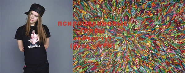 крисы Бородино