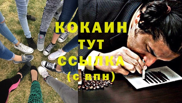 2c-b Бронницы