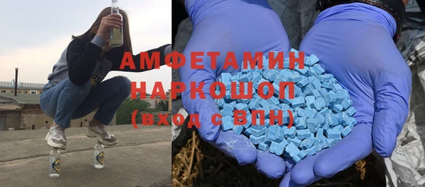 крисы Бородино