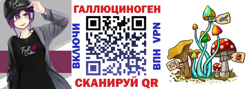 Псилоцибиновые грибы Psilocybe  Назарово 